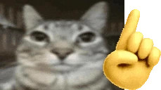ErmIDontThinkSo emote