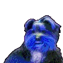 bbParty emote