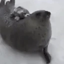 plapplap emote