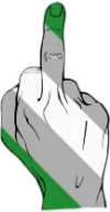 greyromantic_fuck_you emote