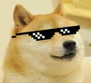 DogeSwag emote
