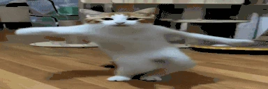 jam emote