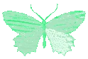greenbutterflyholo emote