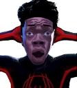 NOWAY emote