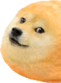 doge_twinkie1 emote