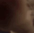 catSNIFF emote