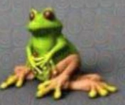 goofyfrog emote