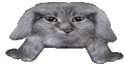 going emote