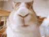 Lil animated emote