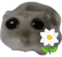 ohkwiatek emote