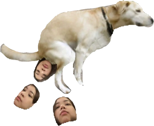 nadjenn_taik emote