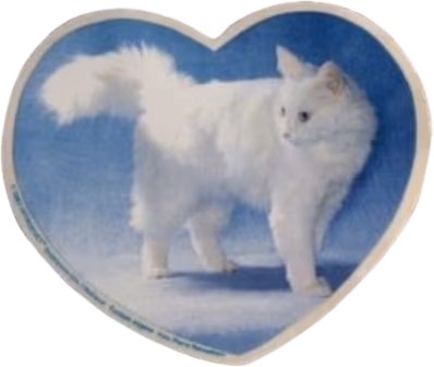 catheart emote