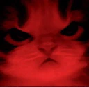 Kitty_Angry emote