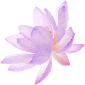 purple_flower emote