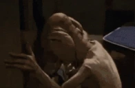 dobbySTUPID emote
