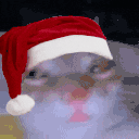 suh animated emote