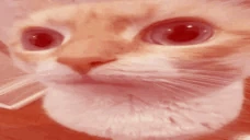uuhJam emote