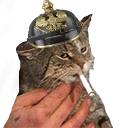 teiibintsarprussia emote