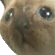 ProizoshelTrolling emote