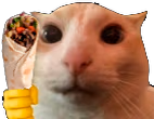 catKebab emote