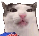 veryCrunch emote