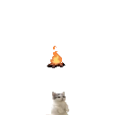 catsittingverycomfortablearoundacampfire emoji