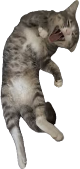 LPJoey emote