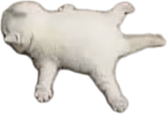 splort emote