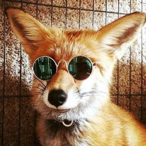 f00x avatar