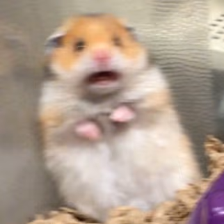 ahhhhh emote