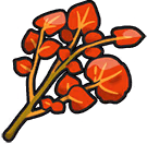 SpicyHerbaMystica emote