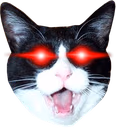 lazercat emote