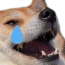 dogekekcry emote