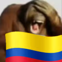 Colombia emote