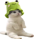 catsittingverycomfortablewithfroggyhat emote