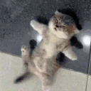 eepy emote