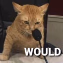 WOULD emote