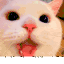 HappyPagJAM animated emote