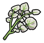 SaltyHerbaMystica emote