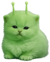 chudlorp