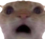 omg emoji