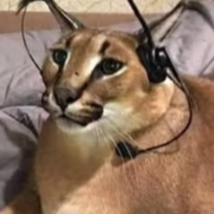seven40seven avatar