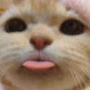 CE_Blep4 emote