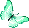 teal_butterfly animated emote