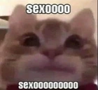 sexo emote