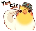 birbyessir emote