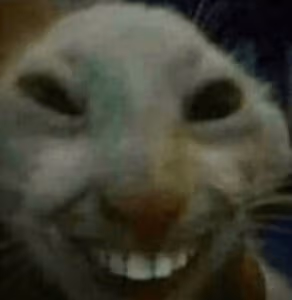 cat_with_teeth emote