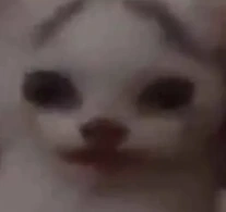 Melon emote