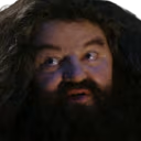 Youre_A_Wizard_Hagrid emote