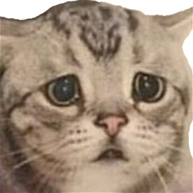 CatSad emote